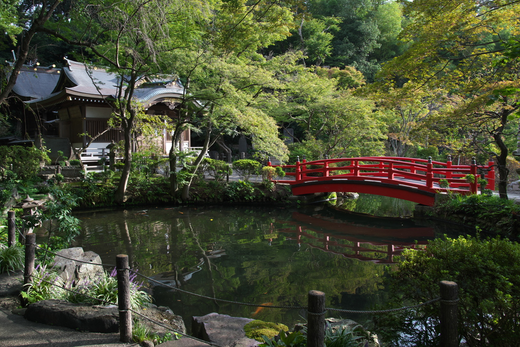 貫井神社