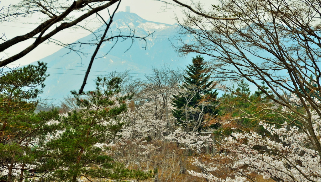 早掛沼公園1