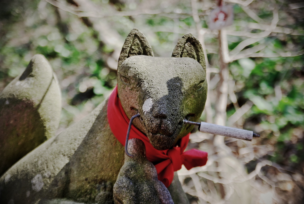 高山稲荷神社2