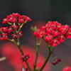 植物公園にて
