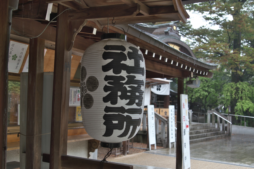 雨宿り