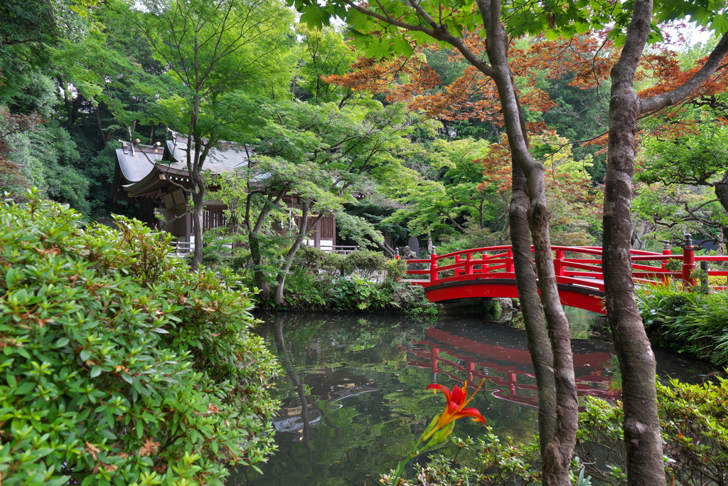 貫井神社3