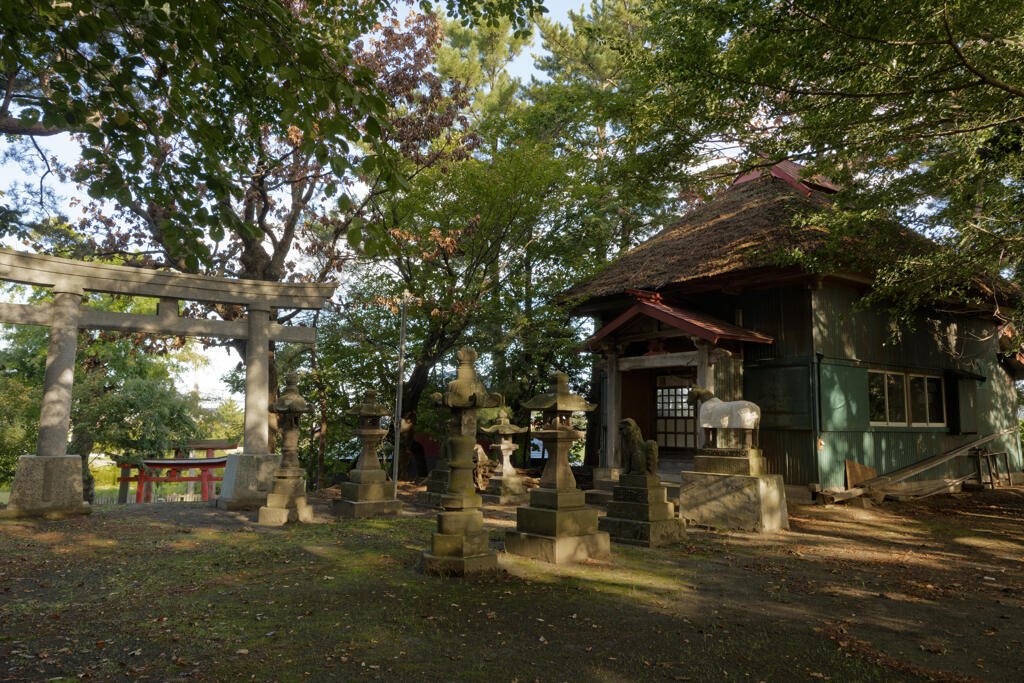 胸肩神社2