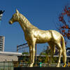 黄金の馬