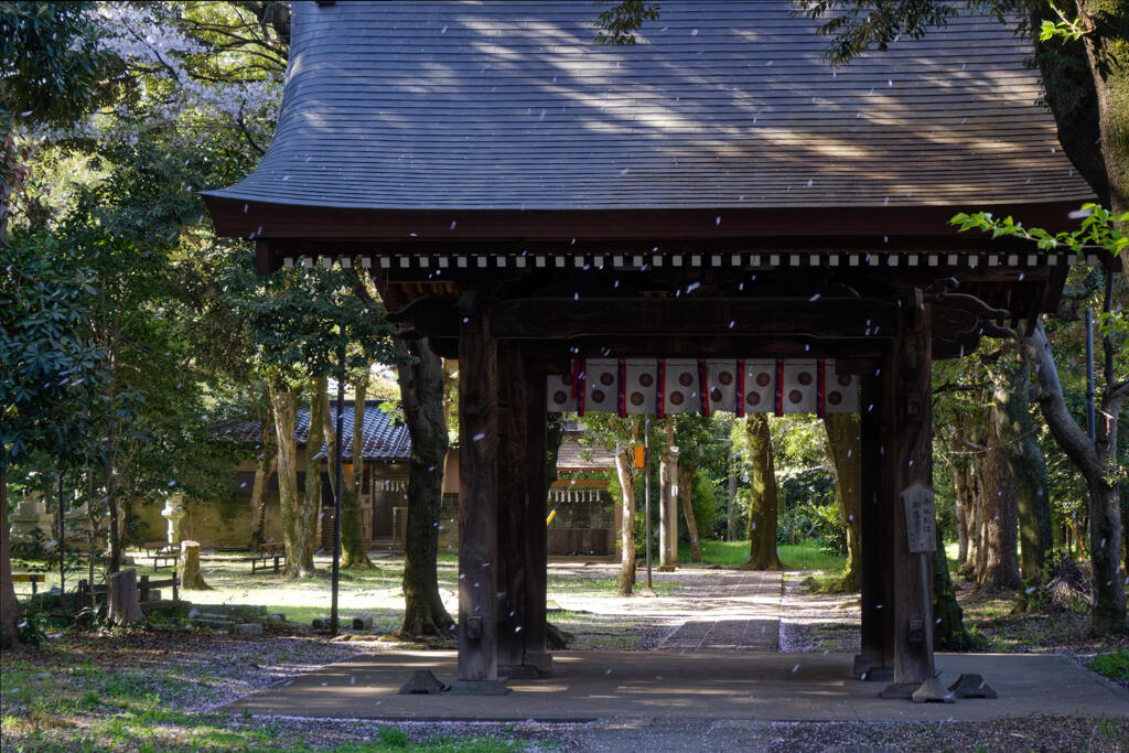 武蔵国府八幡宮1