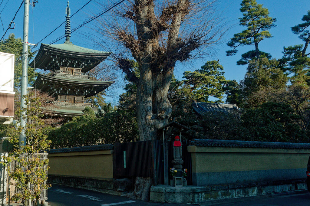 道場寺 三重塔