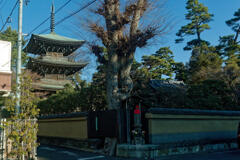 道場寺 三重塔