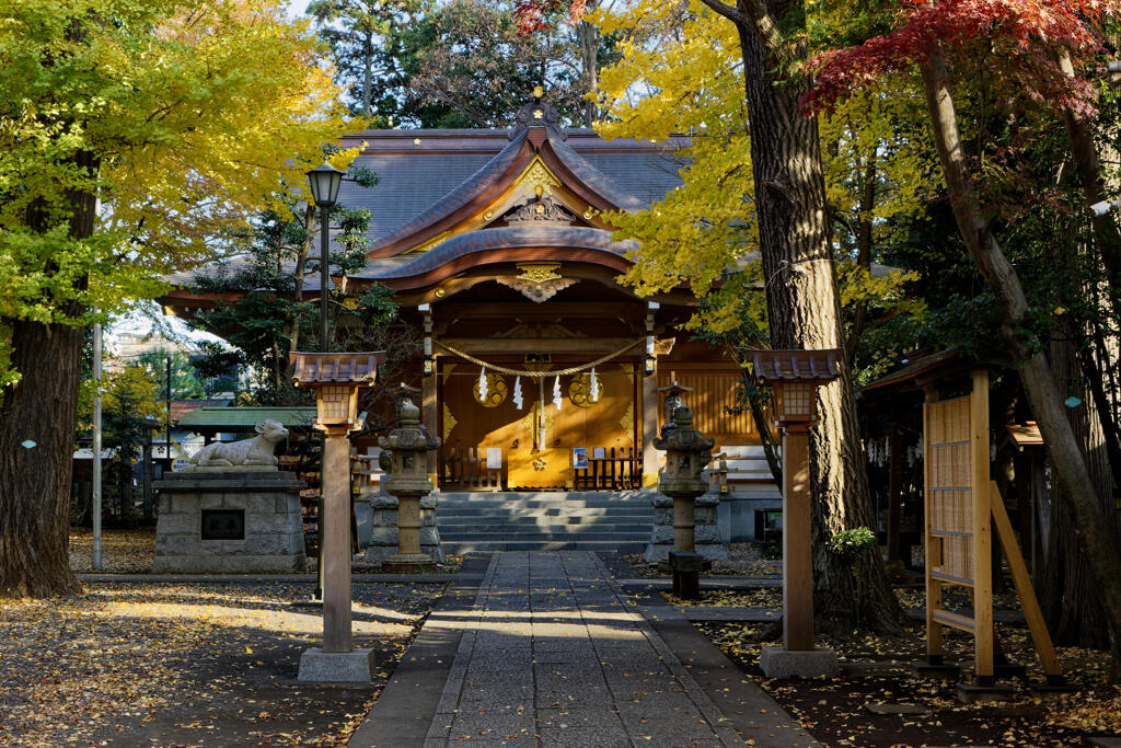 天満宮 小金井神社1