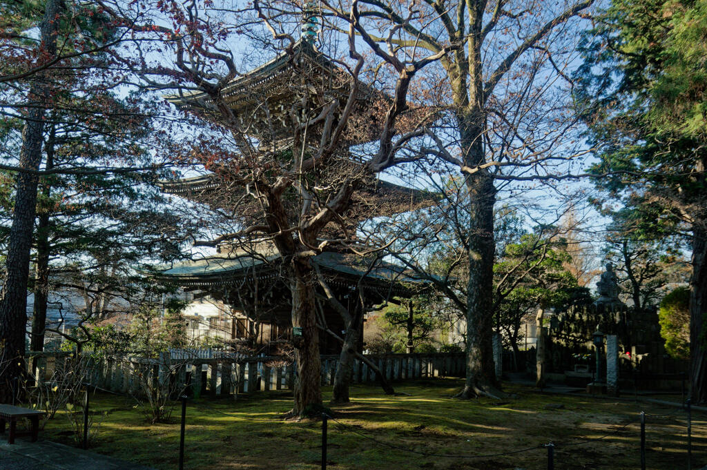 道場寺 三重塔