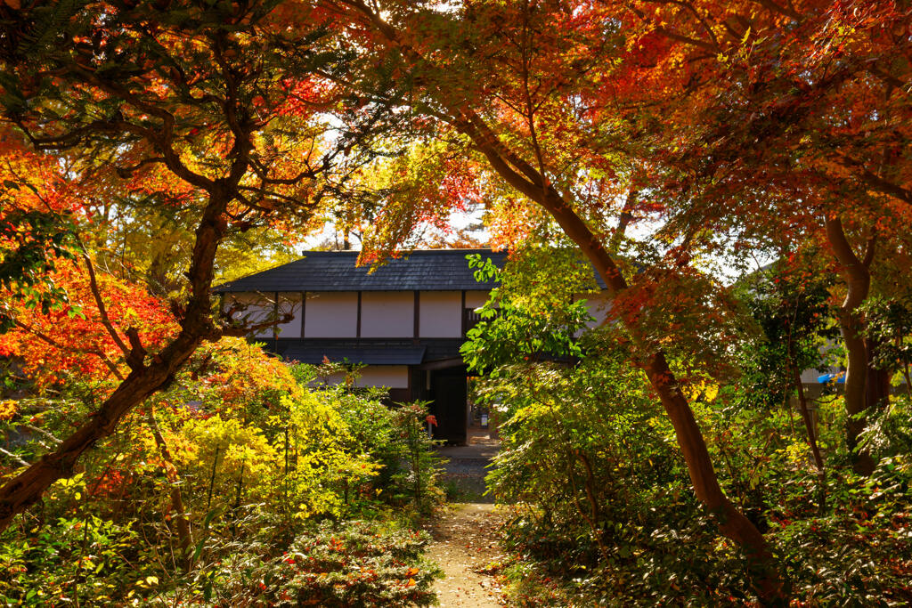 武蔵国分寺跡資料館