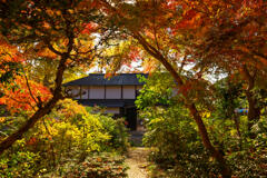 武蔵国分寺跡資料館