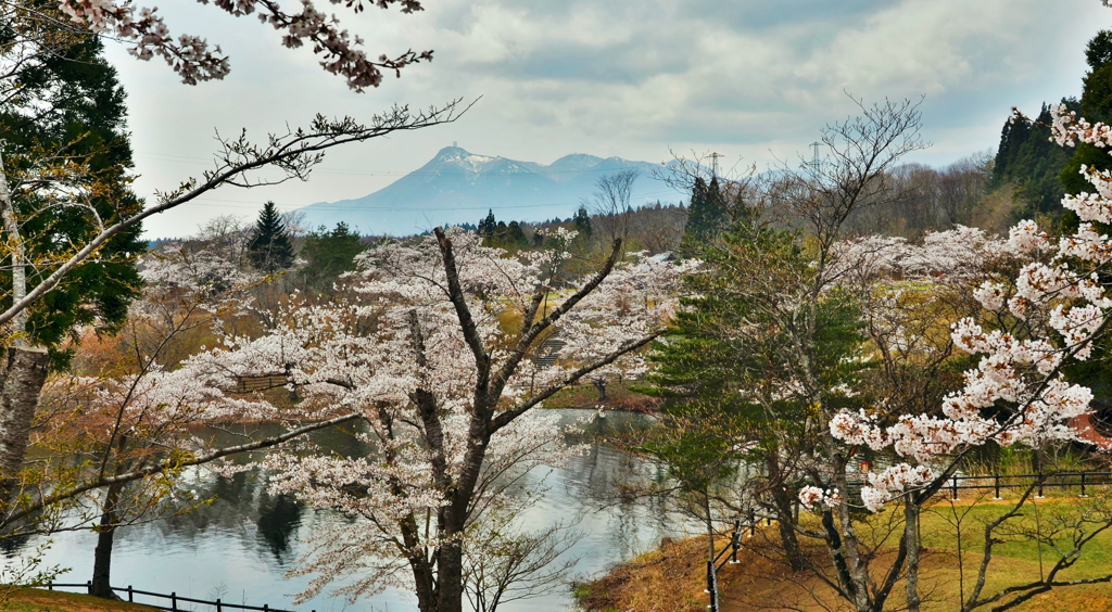 早掛沼公園3