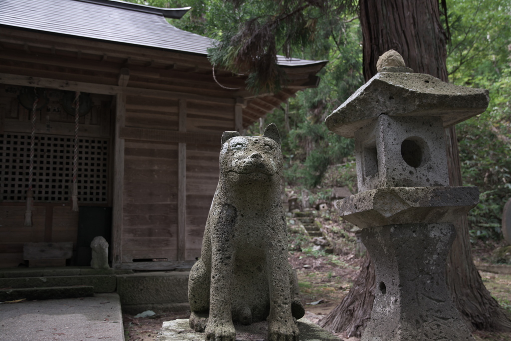 犬の宮