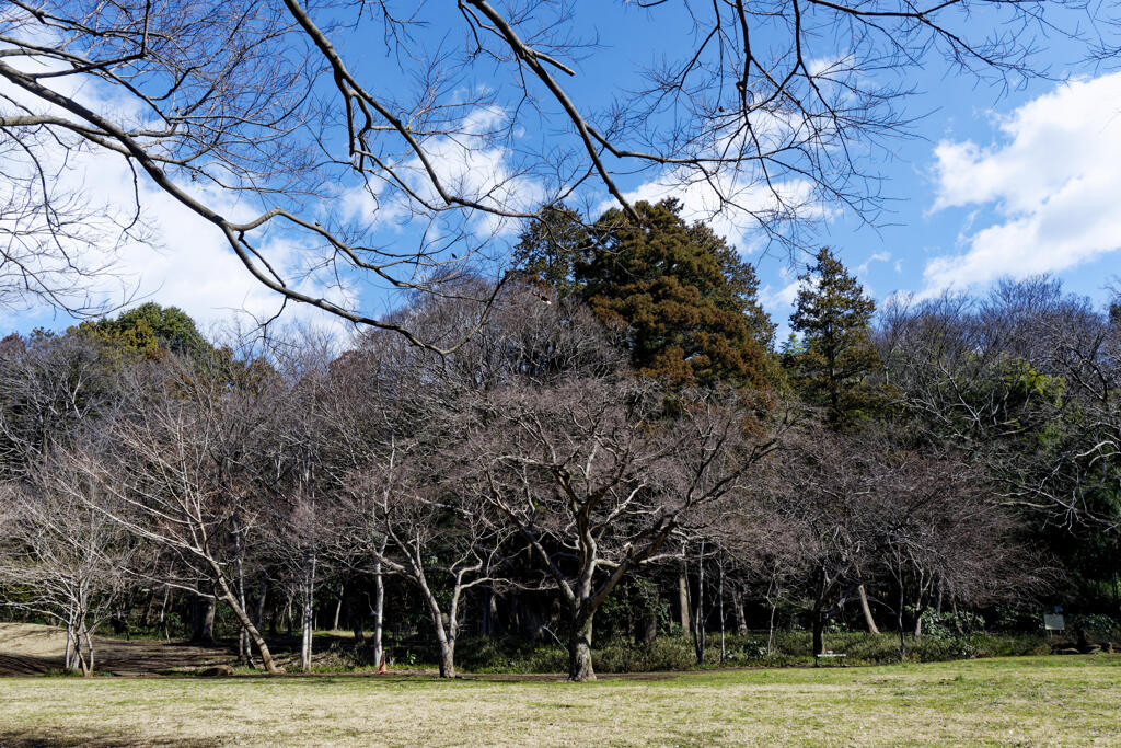 野川公園にて