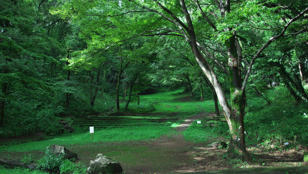 城山公園