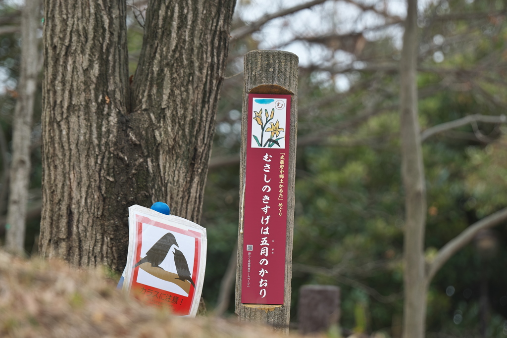 武蔵府中郷土かるた