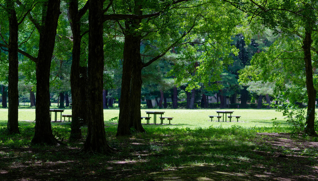 公園