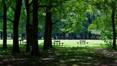 公園