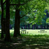 公園