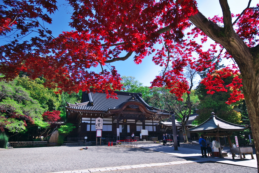 深大寺 本堂