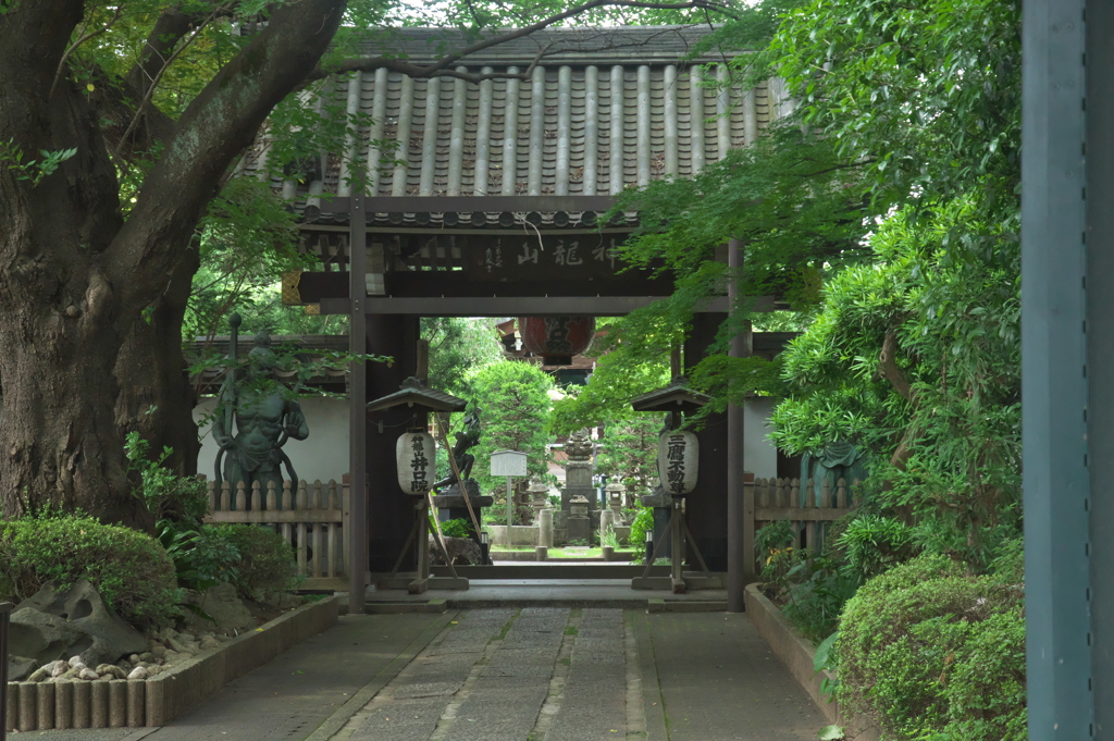 神龍山 井口院