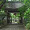 神龍山 井口院