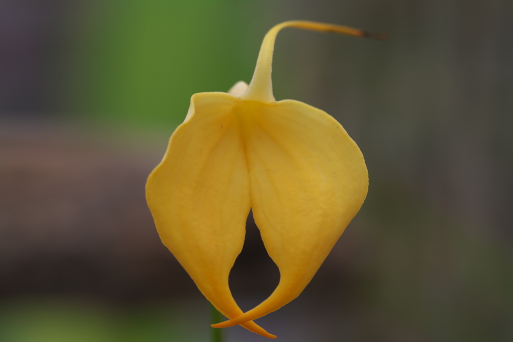 神代植物公園にて１