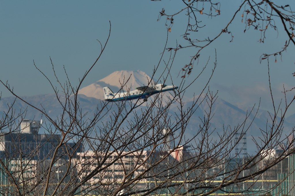 富士山