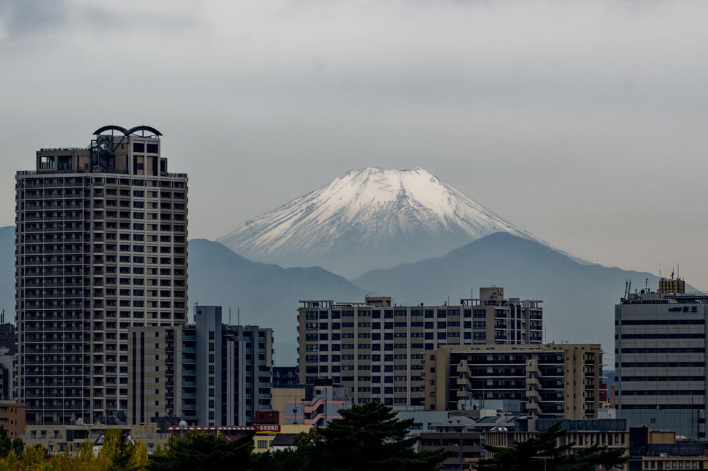 富士山