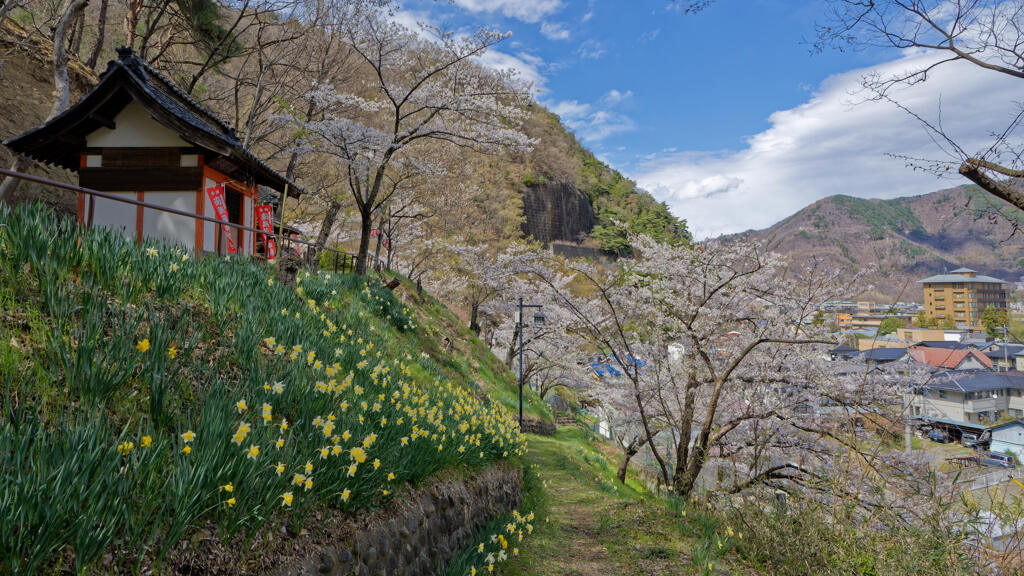 上山田西公園