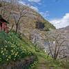 上山田西公園