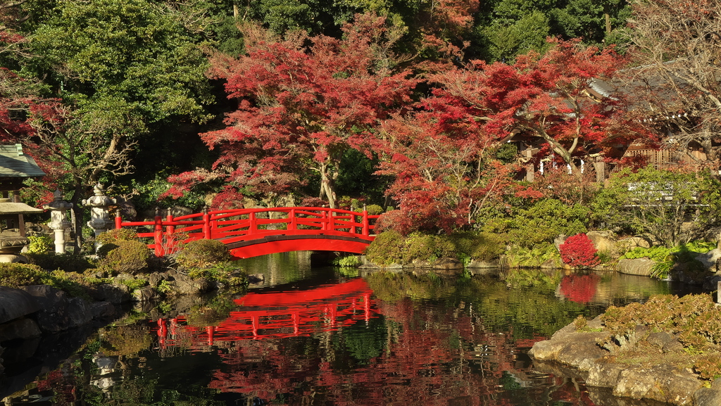 貫井神社1