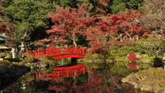 貫井神社1