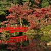 貫井神社1