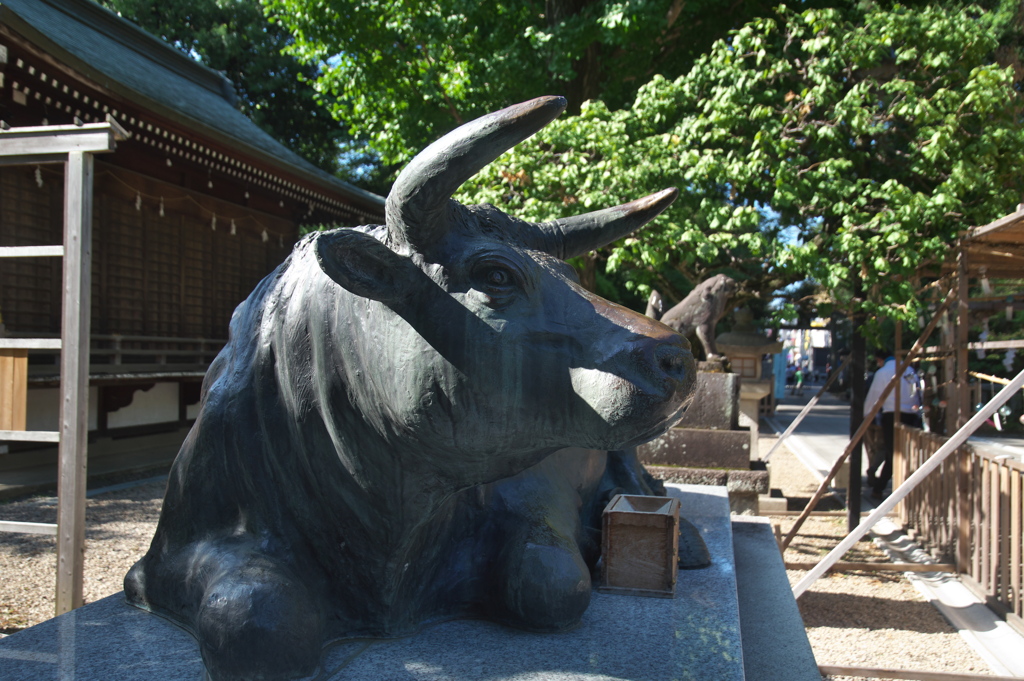 布多天神社御神牛