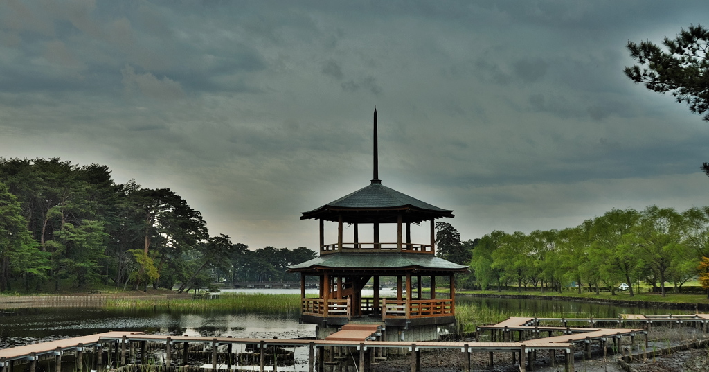 大池公園2