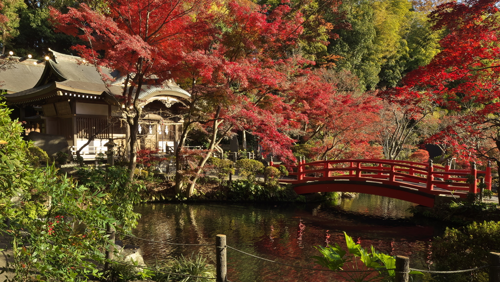 貫井神社2