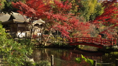 貫井神社2