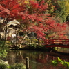 貫井神社2