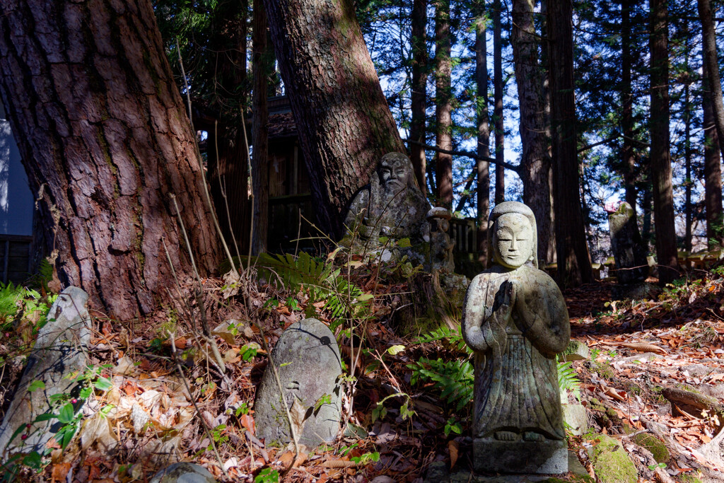 安宮神社 石神仏群6
