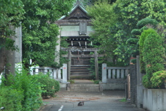 金子厳島神社