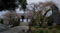 東郷寺3