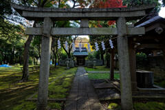 武蔵国府八幡宮3