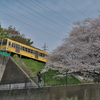 桜電車Ⅰ