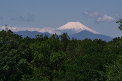 初夏の富士