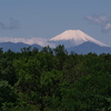 初夏の富士