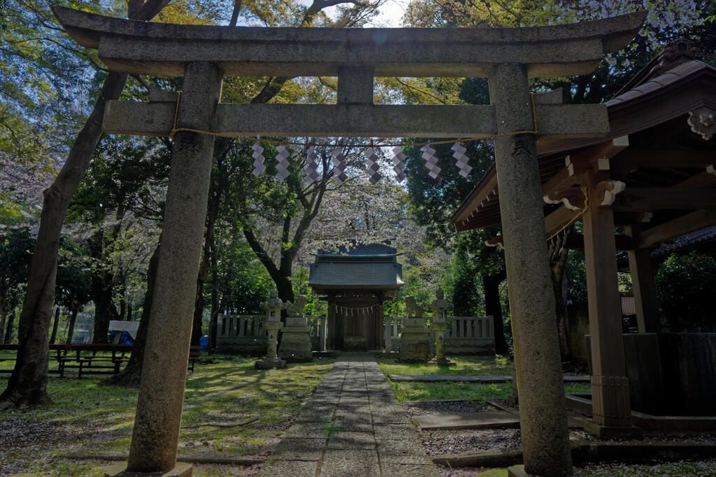 武蔵国府八幡宮3