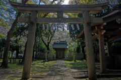 武蔵国府八幡宮3