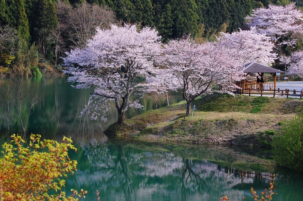 桜の里公園