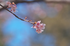 今日は暖かい日